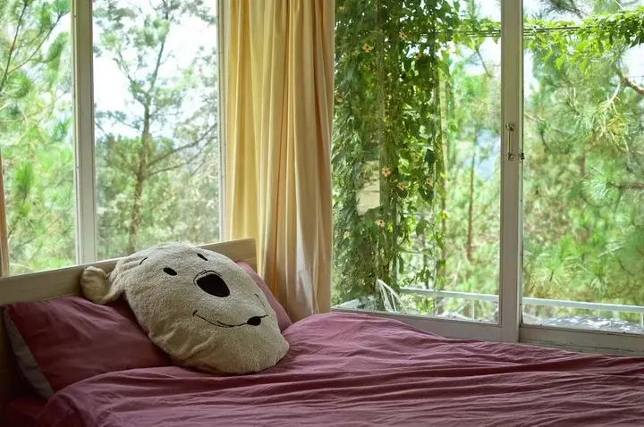 Далат: Pine Hill Homestay Dalat