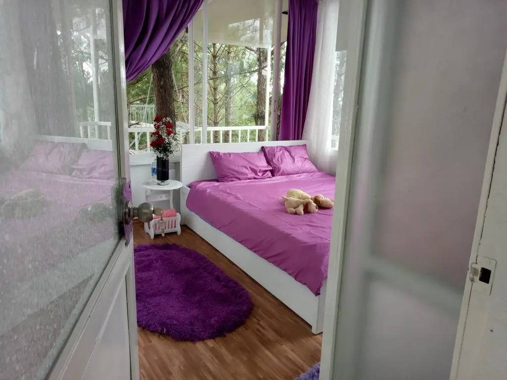 Далат: Pine Hill Homestay Dalat