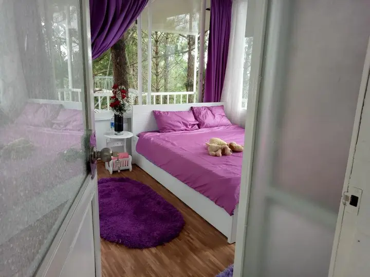 Далат: Pine Hill Homestay Dalat