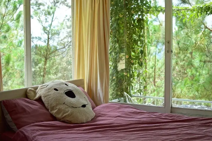 Далат: Pine Hill Homestay Dalat