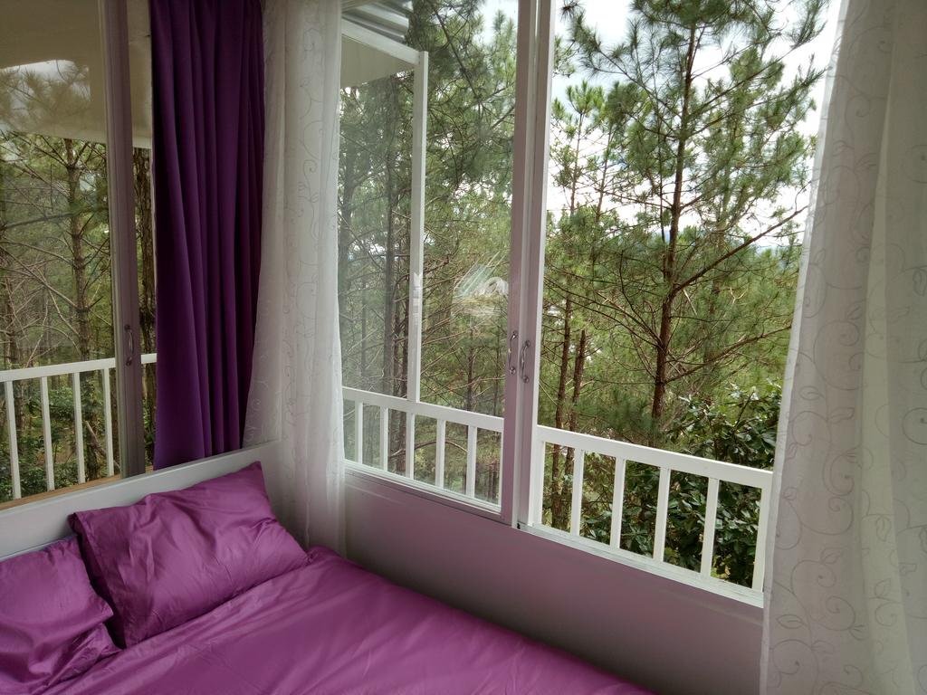 Pine Hill Homestay Dalat — фото 1