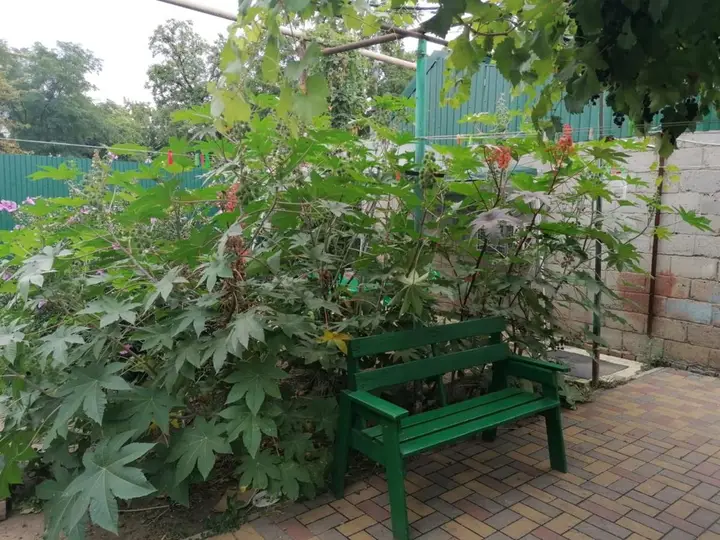Краснодар: Hostel New