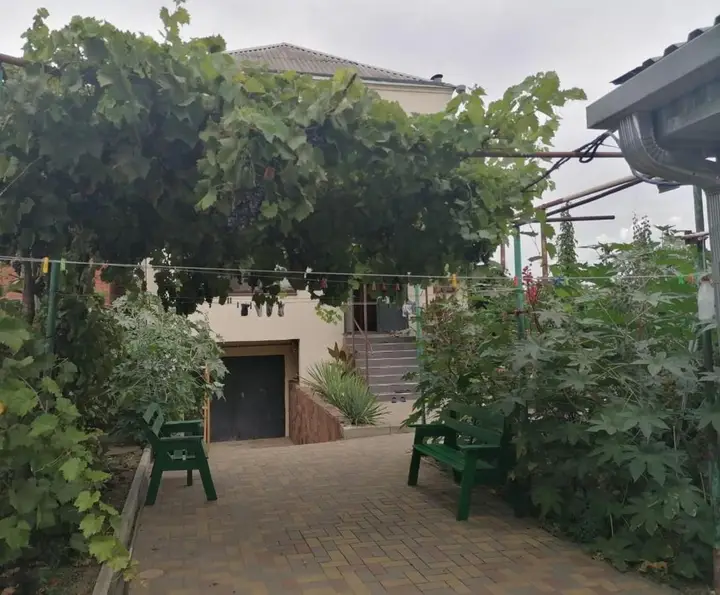 Краснодар: Hostel New