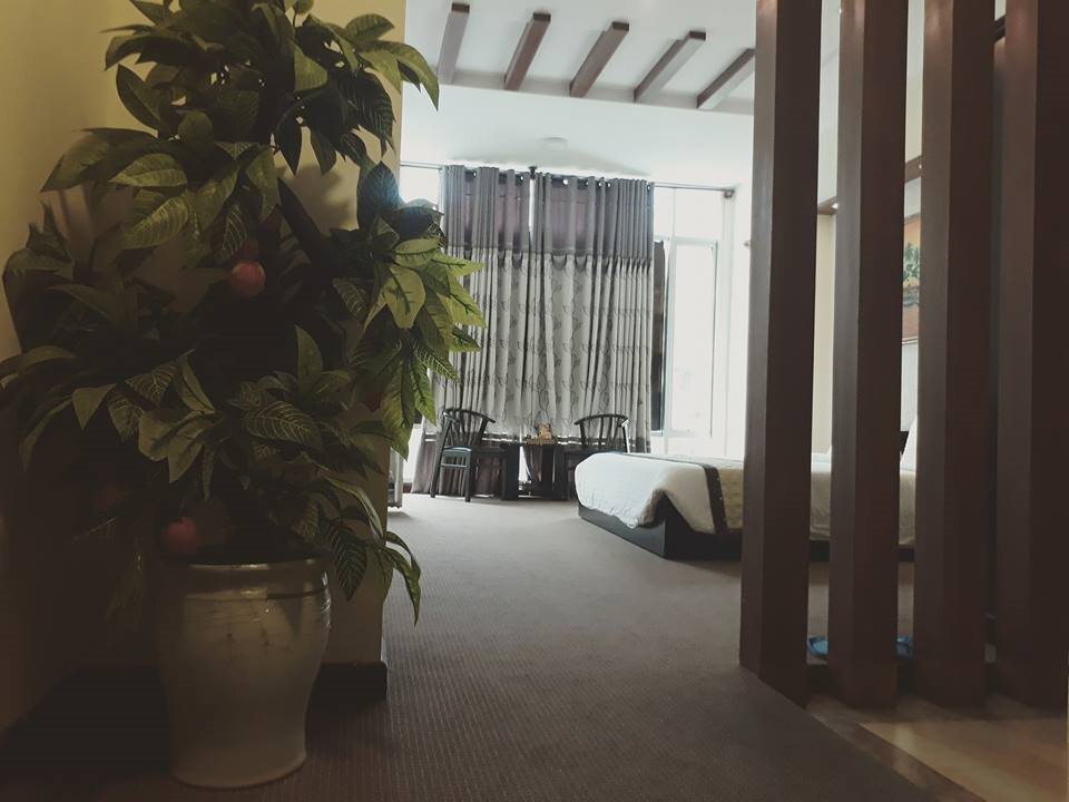 Дананг: Los Hotel