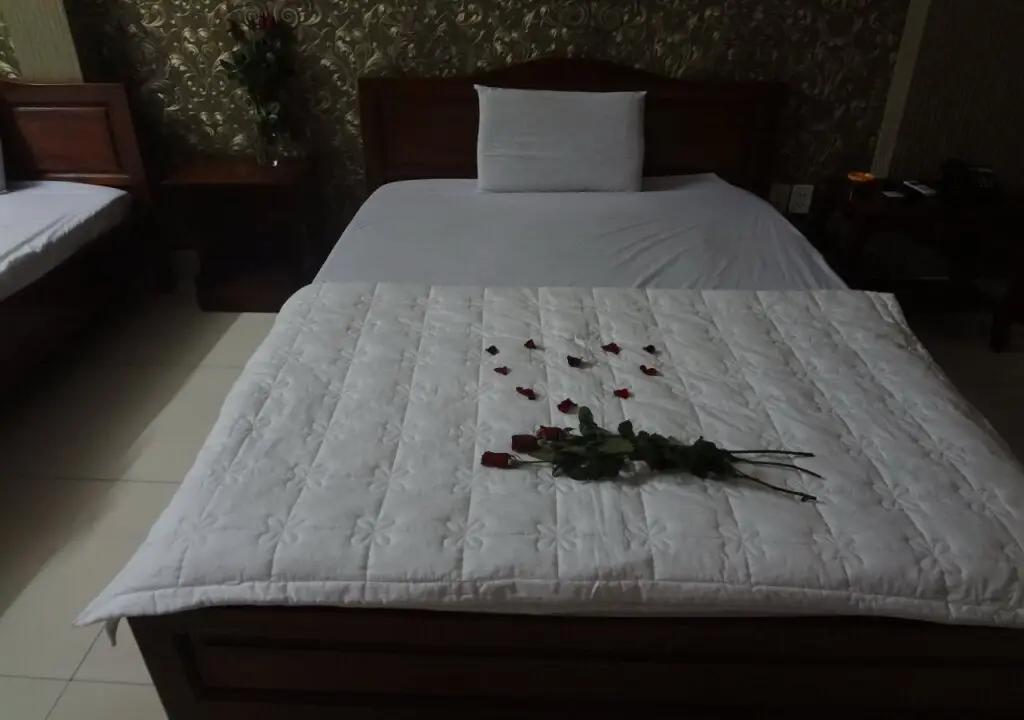 Хошимин: Hoang Ha Hotel Tan Son