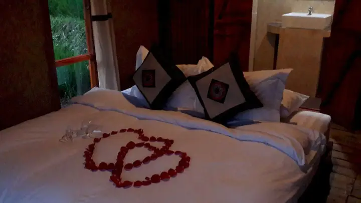 Шапа: Eco Palms House - Sapa Retreat