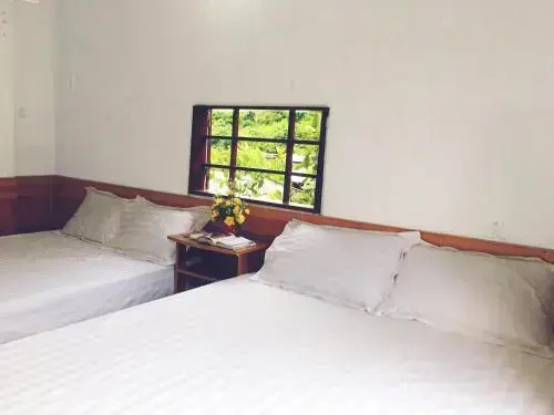 Острова Чам: Trang Vu Homestay Cu Lao Cham