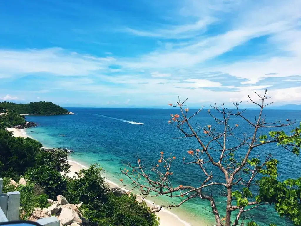 Острова Чам: Trang Vu Homestay Cu Lao Cham