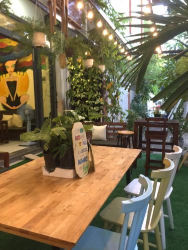 Дананг: The Conical Hats Homestay