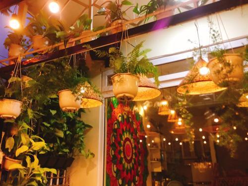 Дананг: The Conical Hats Homestay