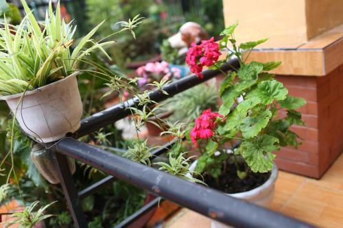 Далат: Homestay Hoa Bon Mua