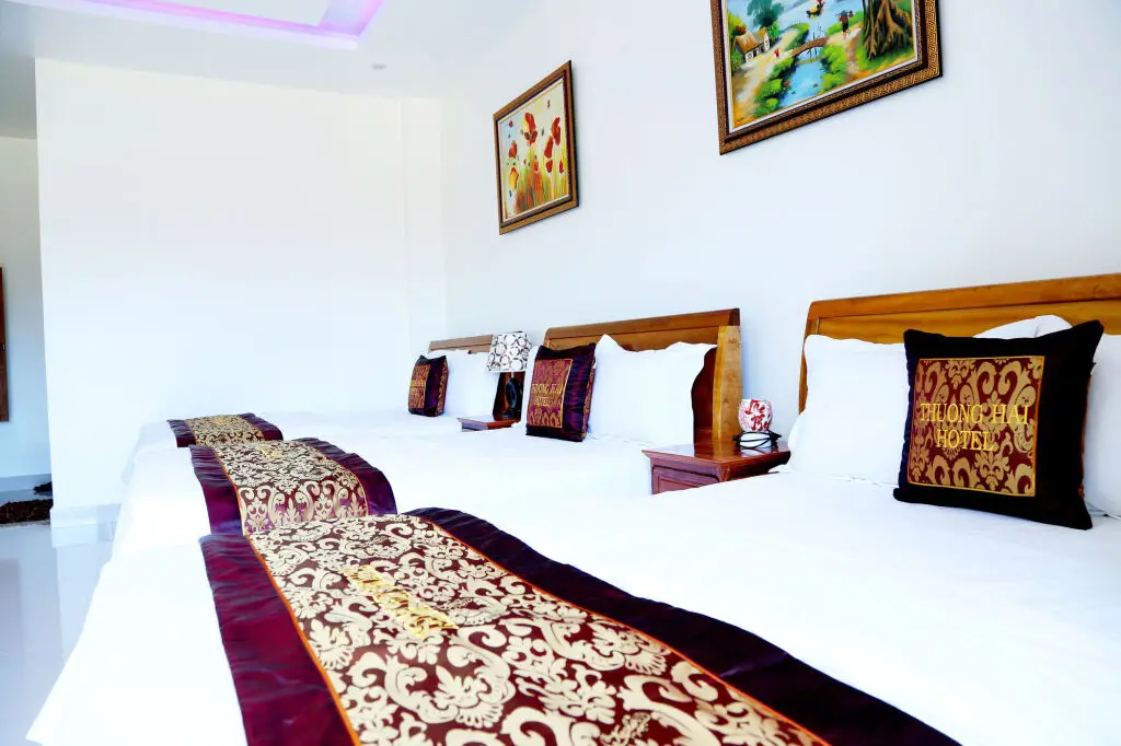 Фонг Ня: Thuong Hai Hotel