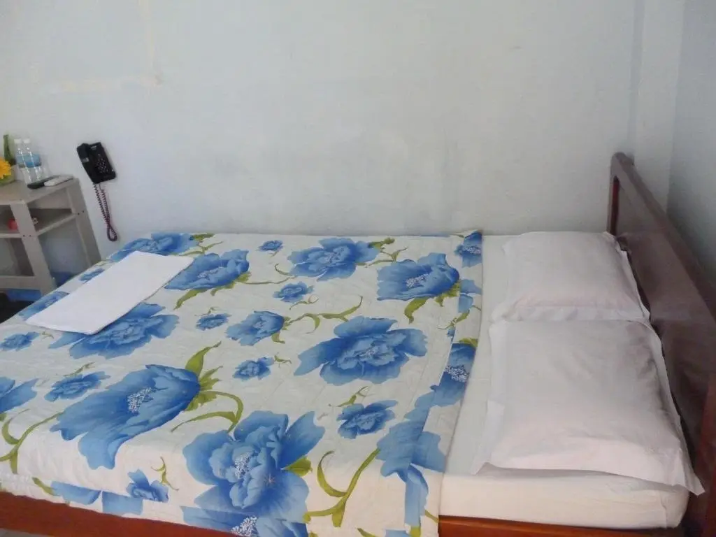 Нячанг: Thao Trang Hotel