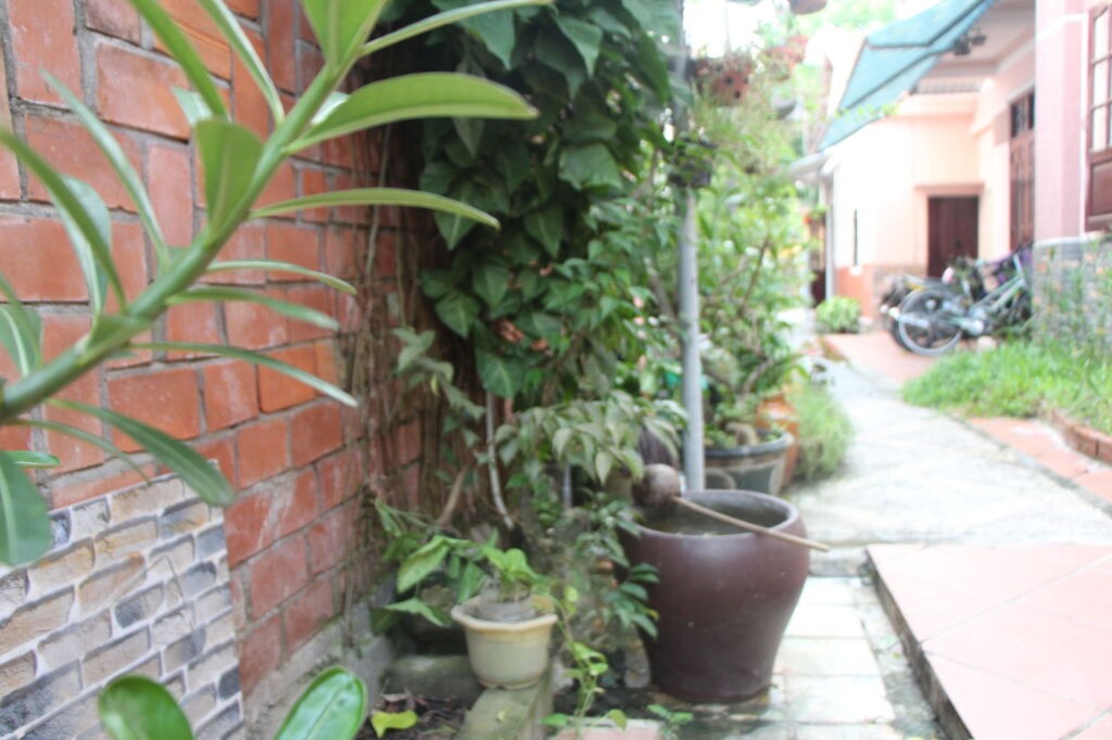 Хойан: Red Ceramics Homestay