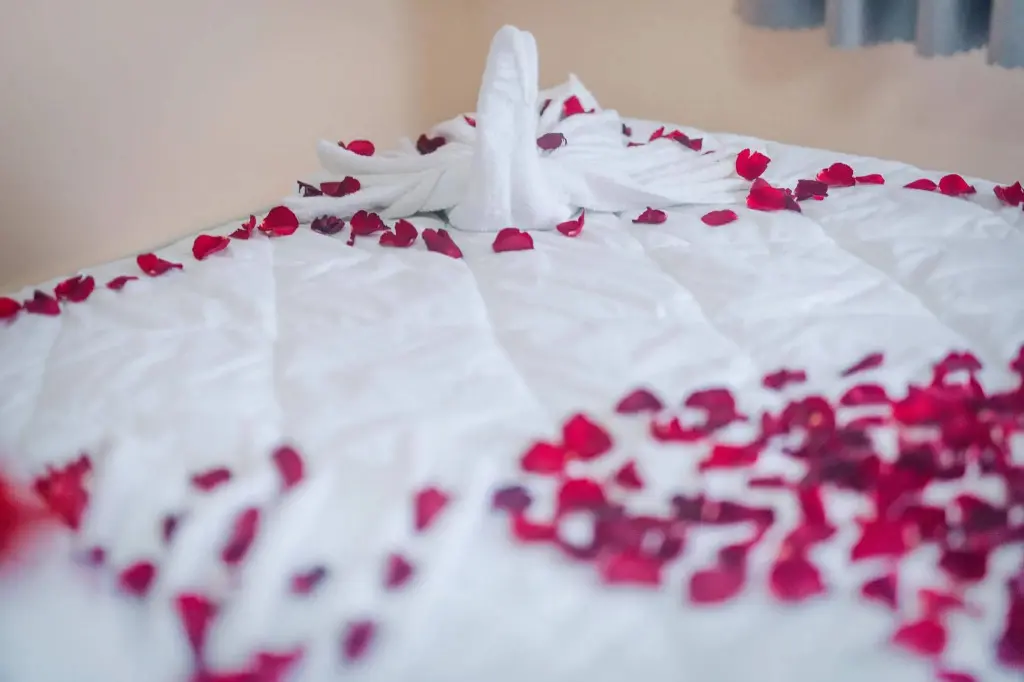 Дананг: Lavender Hotel