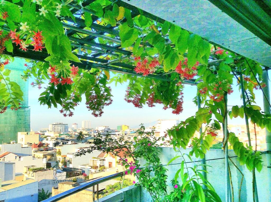 Дананг: Hung Binh Hotel