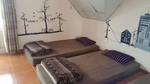 Далат: Xen House