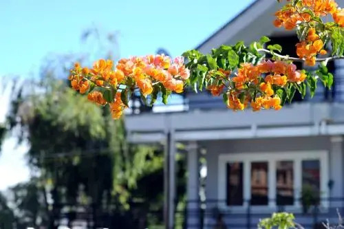 Stop And Go Flower Villa — фото 1