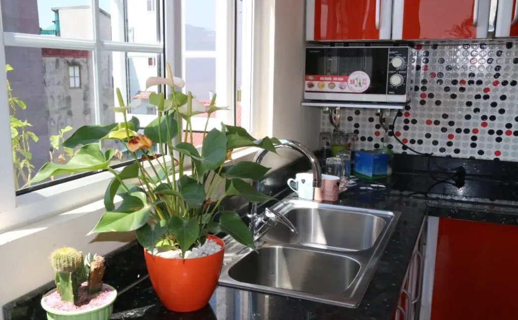 Ханой: An Family Homestay