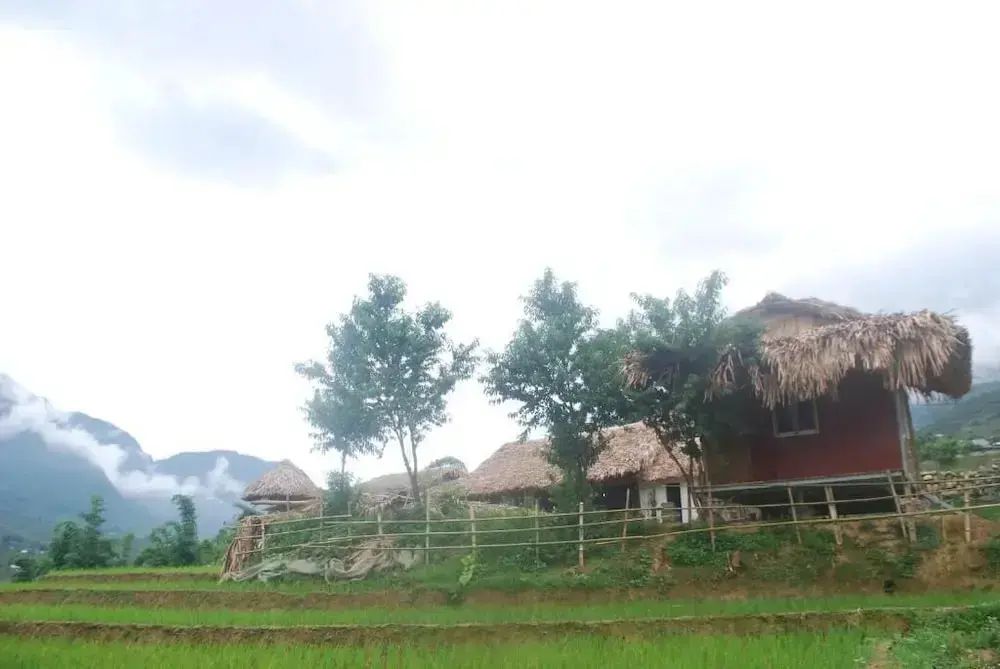 Шапа: Golden Rice Garden Sapa