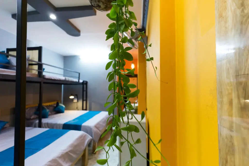 Хошимин: GoCo Hostel