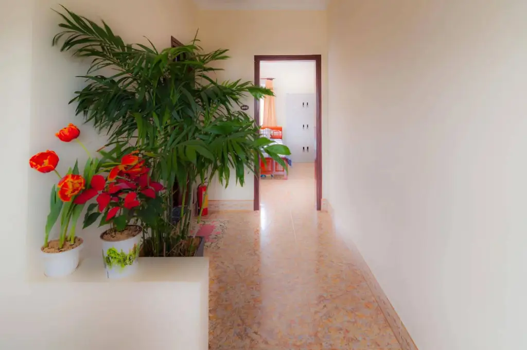 Далат: Robin Hill Guesthouse