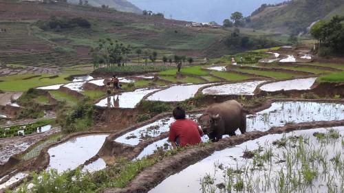 Шапа: Hoàng Ngần Homestay