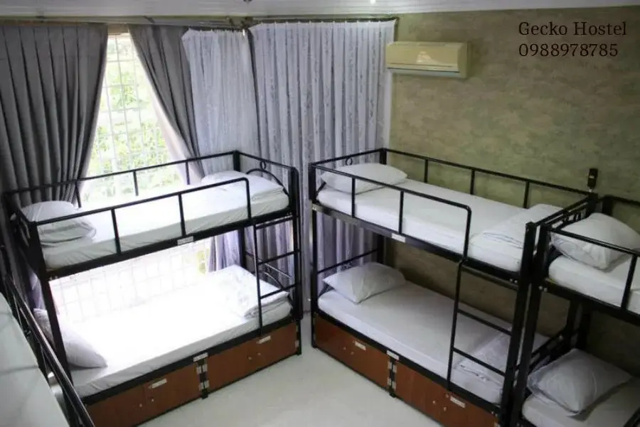 Вунгтау: Gecko Hostel
