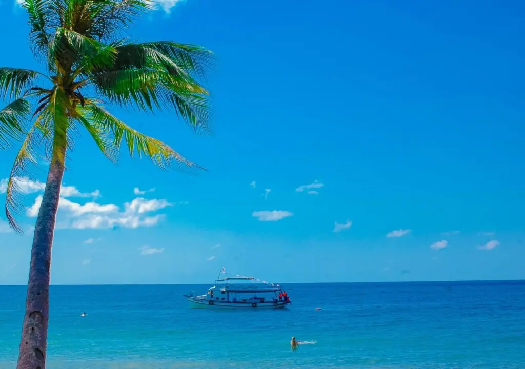 остров Фукуок: Tropical Garden Homestay