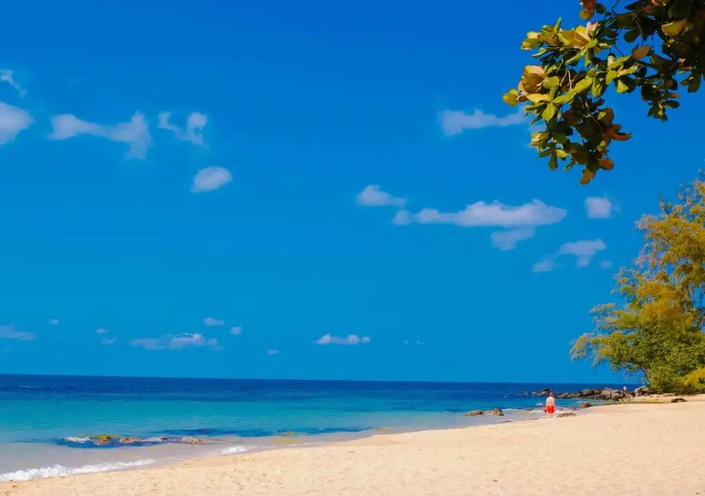остров Фукуок: Tropical Garden Phu Quoc