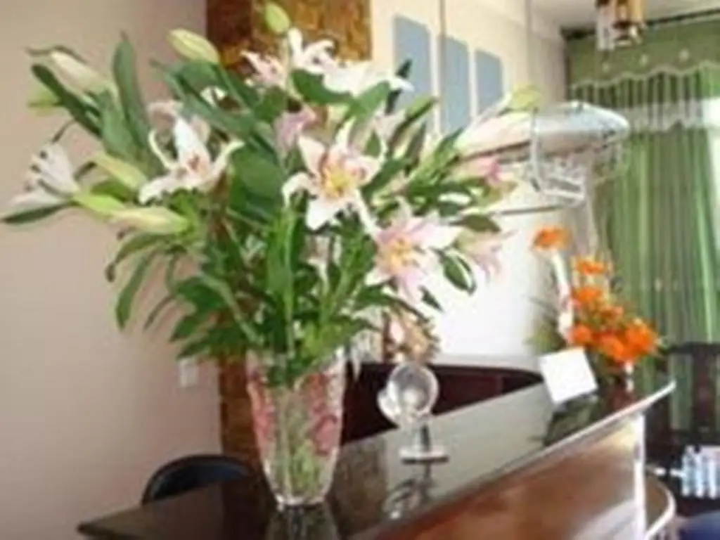 Ланг Ко: Quynh Lien hotel