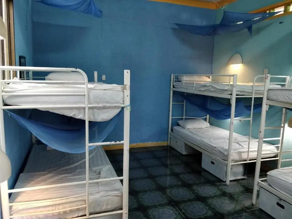 An Nhon: Big Tree Backpackers And Bistro