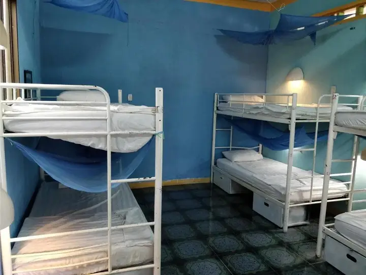 An Nhon: Big Tree Backpackers And Bistro