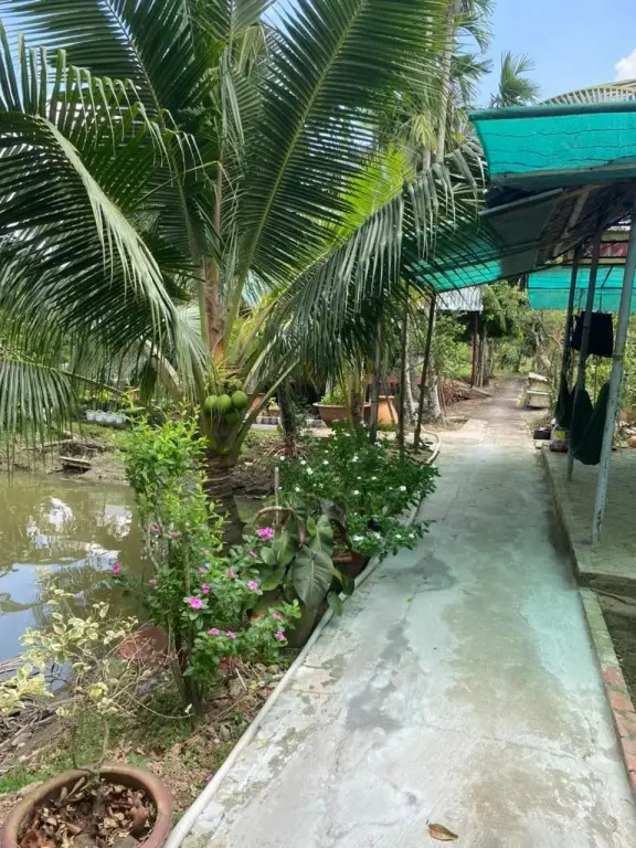 Виньлонг: Ba Hung Homestay
