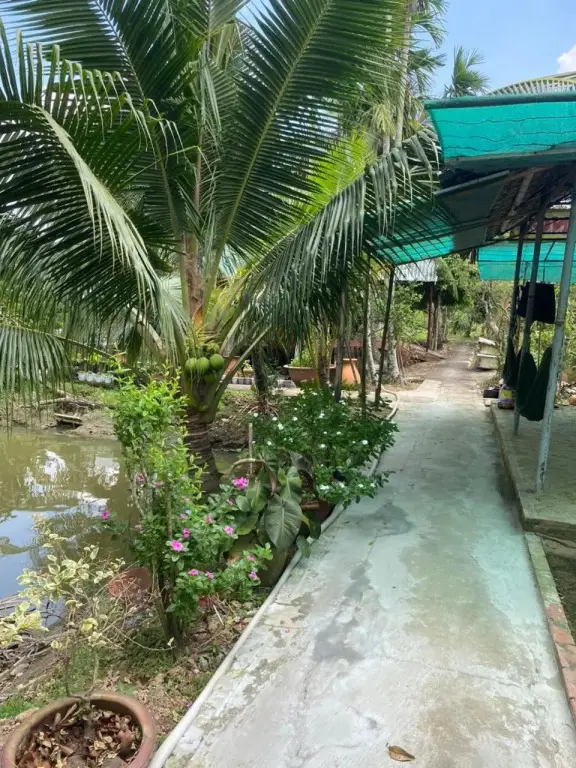 Виньлонг: Ba Hung Homestay