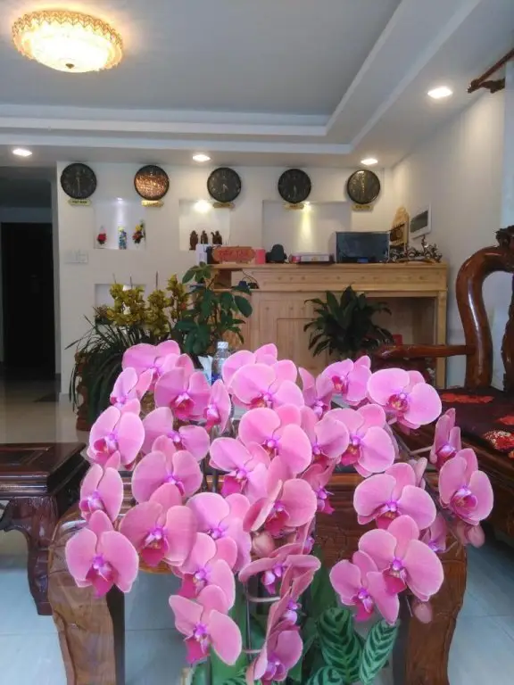 Далат: Da Lat Lanani Hotel