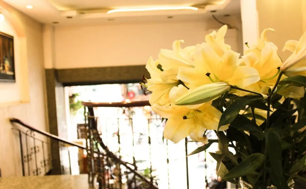 Хошимин: Sao Nam Hotel - Bui Vien Walking Street
