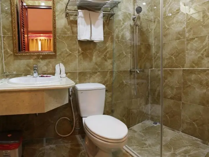 Хошимин: Linh Dan Hotel