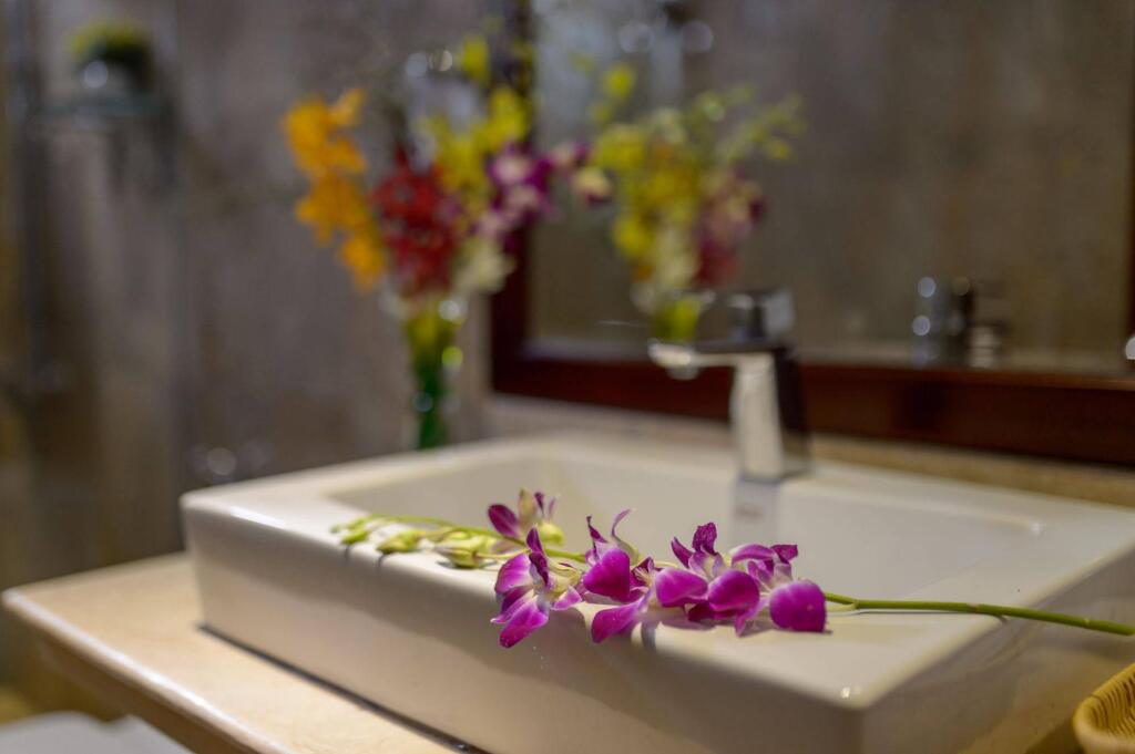 Дананг: Iris Hotel Danang