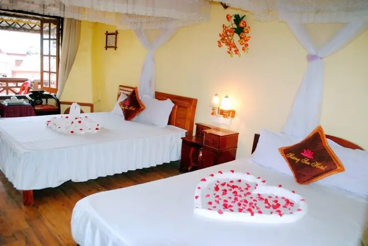 Шапа: Lotus Hotel