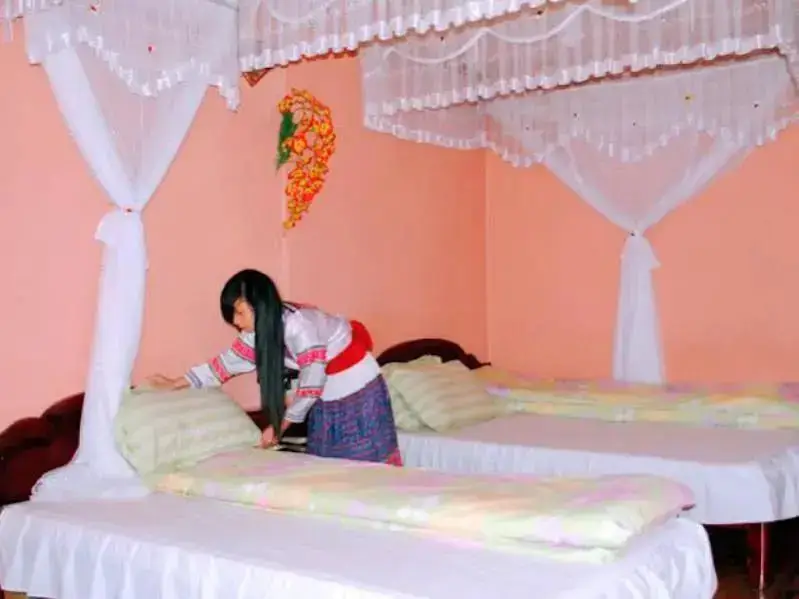 Шапа: Lotus Hotel