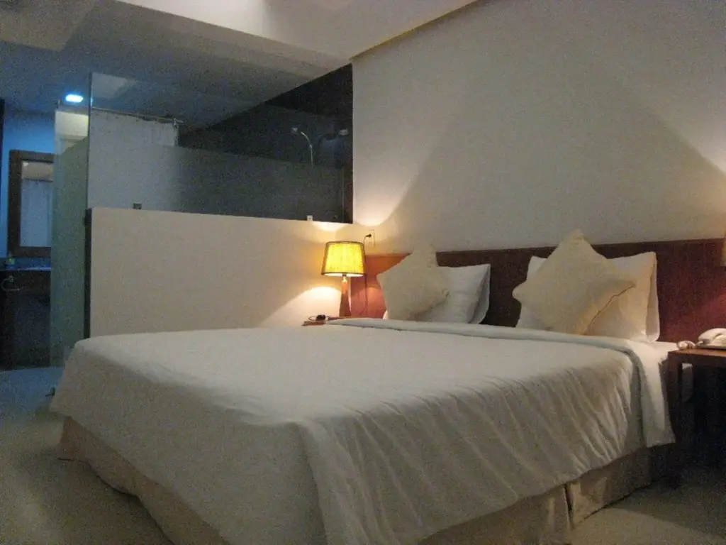 Дананг: Nemo Hotel