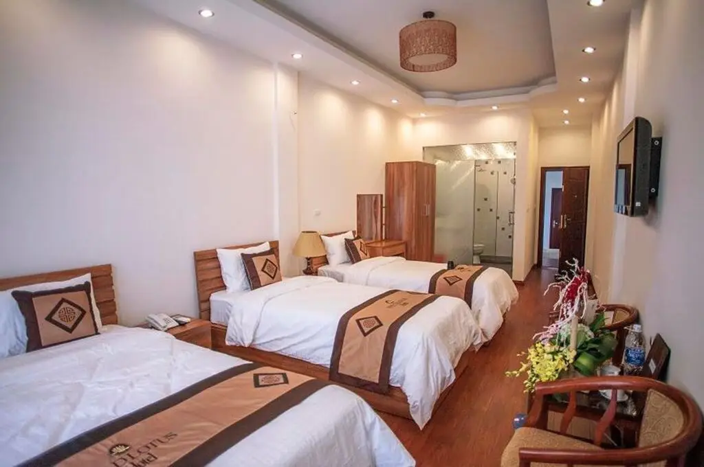 Ханой: Wild Lotus Hotel & Travel 2
