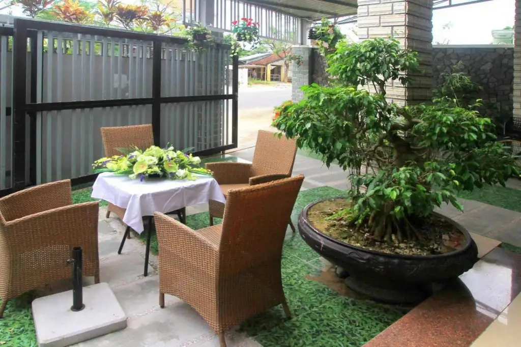 Хойан: Hao Anh Homestay
