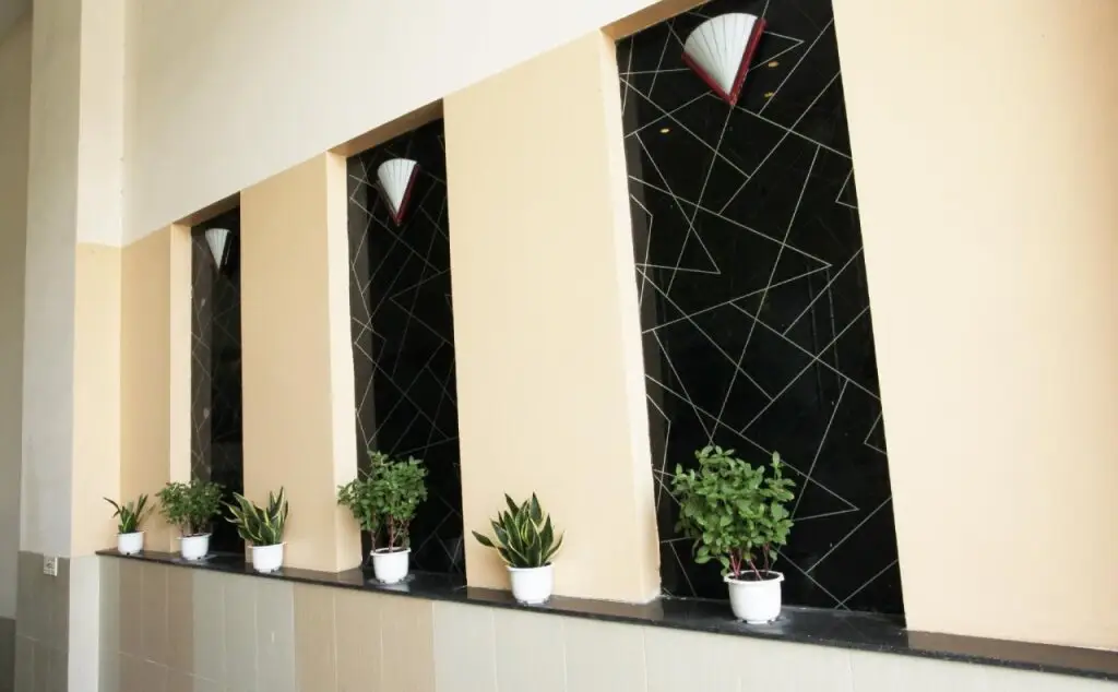 Хошимин: Hoa Bao Hotel