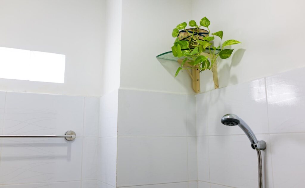 Хошимин: My Home Guest House