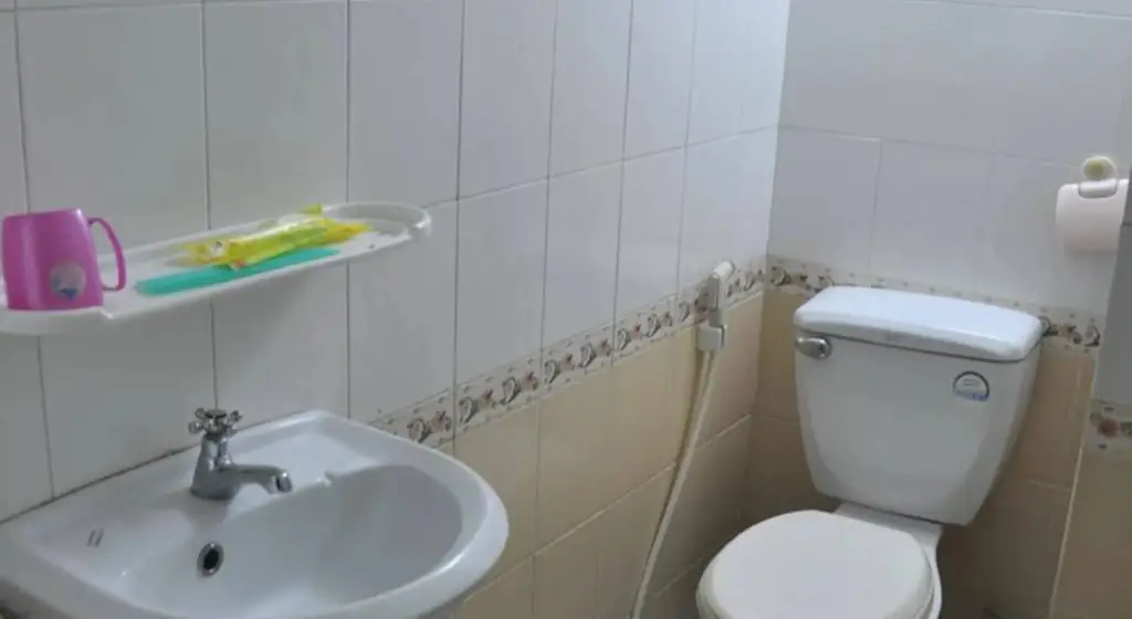 Хошимин: Ha Vy Hotel