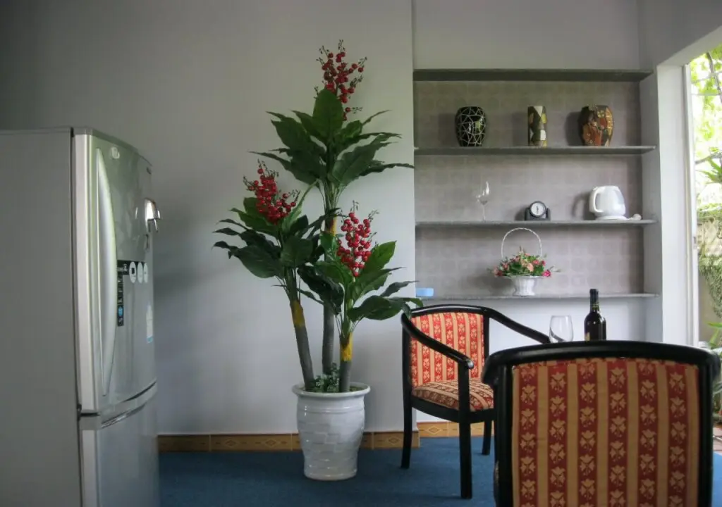 Хойан: Botanic Garden Homestay