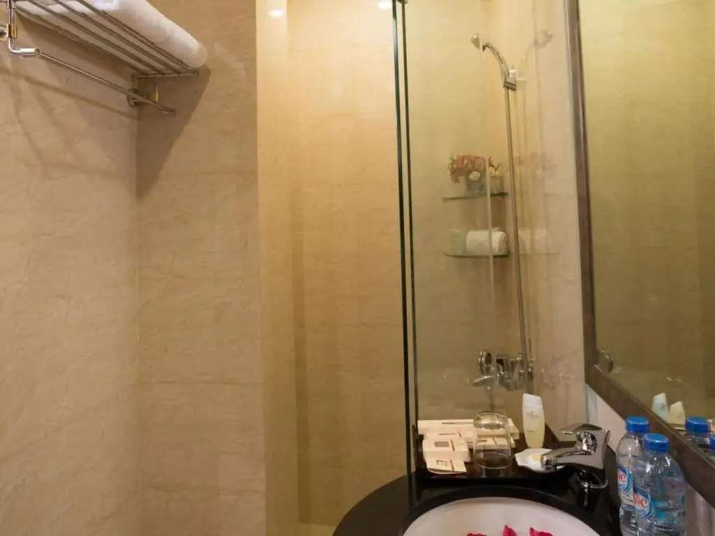 Хошимин: Silverland Sil Hotel