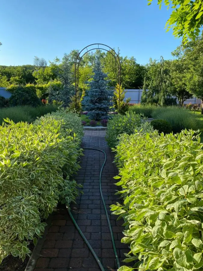 Горячий Ключ: Guesthouse Saksonia